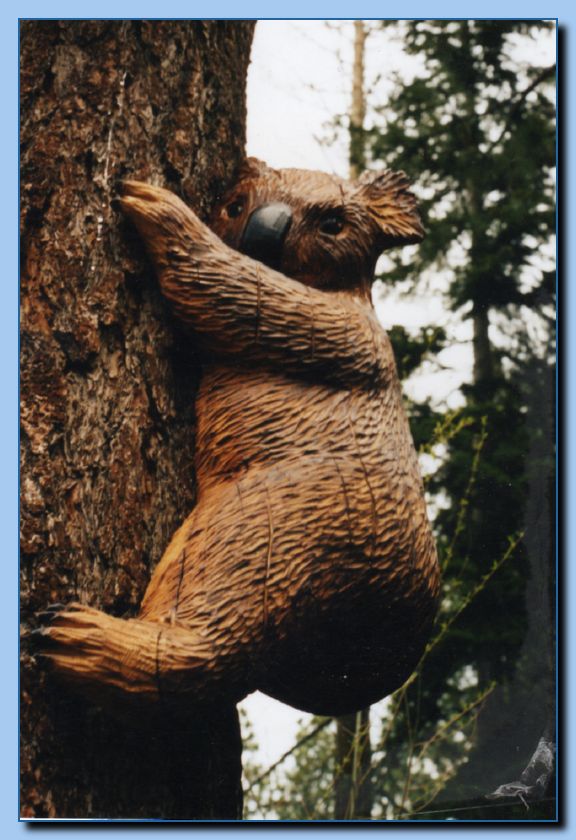 1-08 bear attached to tree